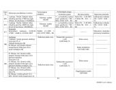 Profesinės praktikos ataskaita: įrenginių remontas UAB "Vakarų autocentras" 12 puslapis