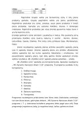 Profesinės veiklos praktikos ataskaita: fermentinių sūrių  gamyba AB "Rokiškio sūris" 2 puslapis