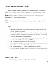 Technologinės praktikos ataskaita: palydovinės televizijos teikimas UAB "Transcom Worldwide Vilnius" 4 puslapis