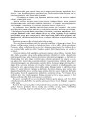 Runkelių auginimas 2 puslapis