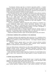 Runkelių auginimas 4 puslapis