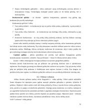 Transporto įmonių valdymo praktika: UAB "Loritransa" 16 puslapis