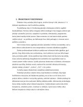 Vadybinės praktikos ataskaita: parduotuvė UAB "Maxima LT" 17 puslapis