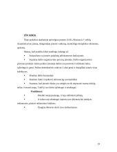 Vadybinės praktikos ataskaita: parduotuvė UAB "Maxima LT" 19 puslapis