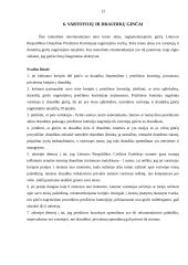 Draudimo bendrovių palyginimas: UAB "Aig life" ir UAB "Sampo life Lietuva" 11 puslapis