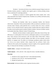 Draudimo bendrovių palyginimas: UAB "Aig life" ir UAB "Sampo life Lietuva" 2 puslapis