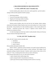 Draudimo bendrovių palyginimas: UAB "Aig life" ir UAB "Sampo life Lietuva" 4 puslapis