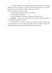 Draudimo bendrovių palyginimas: UAB "Aig life" ir UAB "Sampo life Lietuva" 5 puslapis