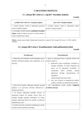 Draudimo bendrovių palyginimas: UAB "Aig life" ir UAB "Sampo life Lietuva" 6 puslapis