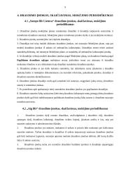 Draudimo bendrovių palyginimas: UAB "Aig life" ir UAB "Sampo life Lietuva" 8 puslapis