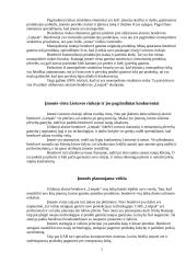 Verslo praktikos ataskaita: plėvelinių įpakavimo medžiagų gamyba UAB "Liepak" 7 puslapis