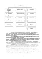 Verslo praktikos ataskaita: plėvelinių įpakavimo medžiagų gamyba UAB "Liepak" 10 puslapis