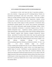 Gyvulininkystės reikšmė 3 puslapis