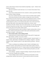 Gyvulių veislės, evoliucija 4 puslapis