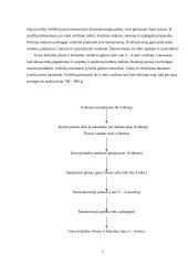 Gyvulių veislės, evoliucija 7 puslapis