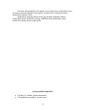 Ilgalaikio turto nusidėvėjimo sumos skaičiavimai 12 puslapis