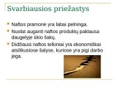 Nafta — svarbiausia žaliava 15 puslapis