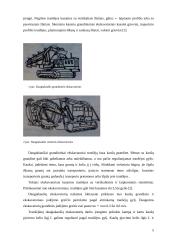 Iškasų ir sankasų šlaitai, jų stiprinimas. Tranšėjos kasimo, užpylimo darbų kiekių apskaičiavimai 5 puslapis