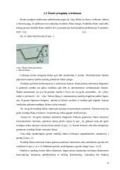 Iškasų ir sankasų šlaitai, jų stiprinimas. Tranšėjos kasimo, užpylimo darbų kiekių apskaičiavimai 8 puslapis