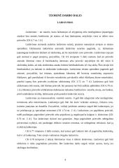 Laidavimas. Garantija 4 puslapis