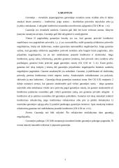 Laidavimas. Garantija 7 puslapis