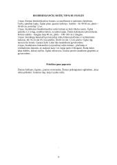 Lauko gėlininkystė 11 puslapis