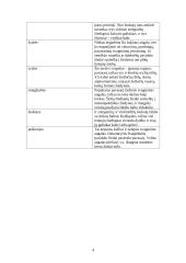 Lauko gėlininkystė 4 puslapis