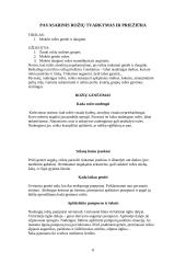 Lauko gėlininkystė 8 puslapis