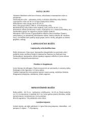 Lauko gėlininkystė 9 puslapis