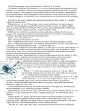 Abortai pasaulyje ir Lietuvoje 4 puslapis