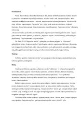 UAB "Septynios mylios" mikroaplinkos ir makroaplinkos analizė 3 puslapis