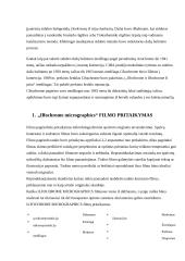 Sidabro dažų balinimo technologija. Ilfochrome Micrographic filmas 4 puslapis