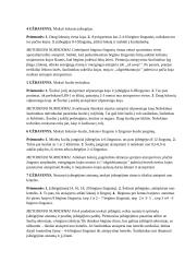 Trišuolio mokymo metodika 3 puslapis