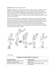 Trišuolio mokymo metodika 4 puslapis