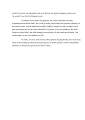 Ar įteisinti dvigubą pilietybę? 2 puslapis