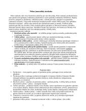 Verslo apskaita: AB "Estelita" 5 puslapis