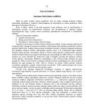 Žemės ūkis (rašto darbas) 12 puslapis