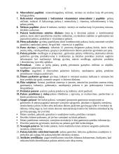 Žemės ūkis (rašto darbas) 7 puslapis