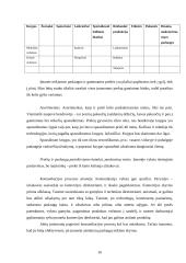 Baigiamosios praktikos ataskaita: spaustuvė AB "Aušra" 16 puslapis