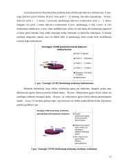 Baigiamosios praktikos ataskaita: Tauragės apskrities valstybinė mokesčių inspekcija 13 puslapis