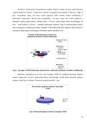 Baigiamosios praktikos ataskaita: Tauragės apskrities valstybinė mokesčių inspekcija 15 puslapis