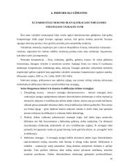 Baigiamosios praktikos ataskaita: Tauragės apskrities valstybinė mokesčių inspekcija 10 puslapis