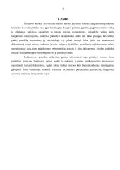 Baigiamosios praktikos ataskaita: Vilniaus miesto antrasis apylinkės teismas