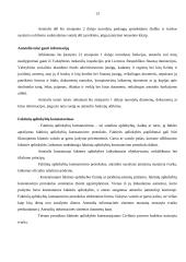 Baigiamosios praktikos ataskaita: Vilniaus miesto antrasis apylinkės teismas 11 puslapis