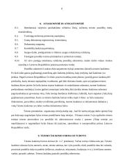 Baigiamosios praktikos ataskaita: Vilniaus miesto antrasis apylinkės teismas 6 puslapis