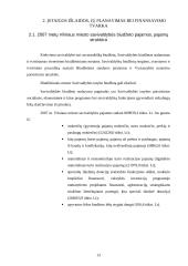 Baigiamosios praktikos ataskaita: Vilniaus miesto savivaldybė 13 puslapis