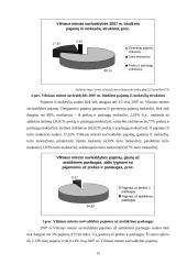 Baigiamosios praktikos ataskaita: Vilniaus miesto savivaldybė 15 puslapis