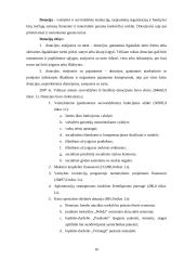 Baigiamosios praktikos ataskaita: Vilniaus miesto savivaldybė 16 puslapis