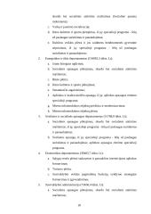 Baigiamosios praktikos ataskaita: Vilniaus miesto savivaldybė 18 puslapis