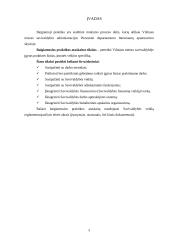 Baigiamosios praktikos ataskaita: Vilniaus miesto savivaldybė 3 puslapis